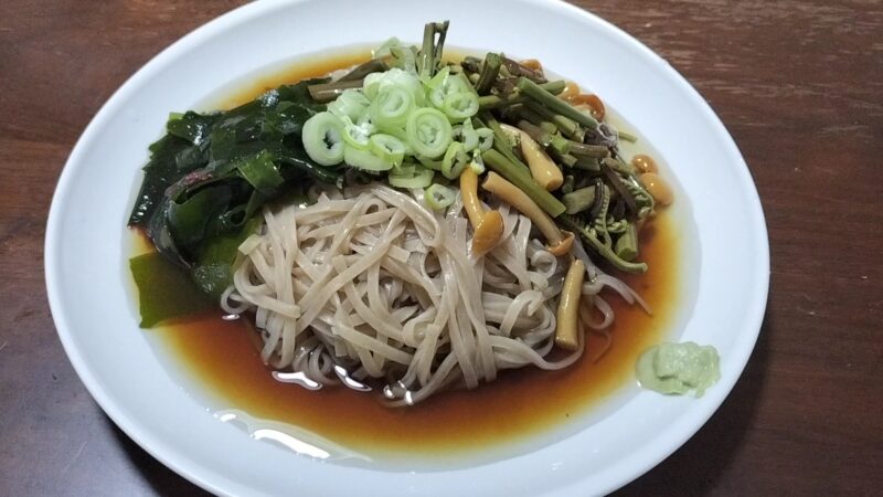 冷やし山菜うどん